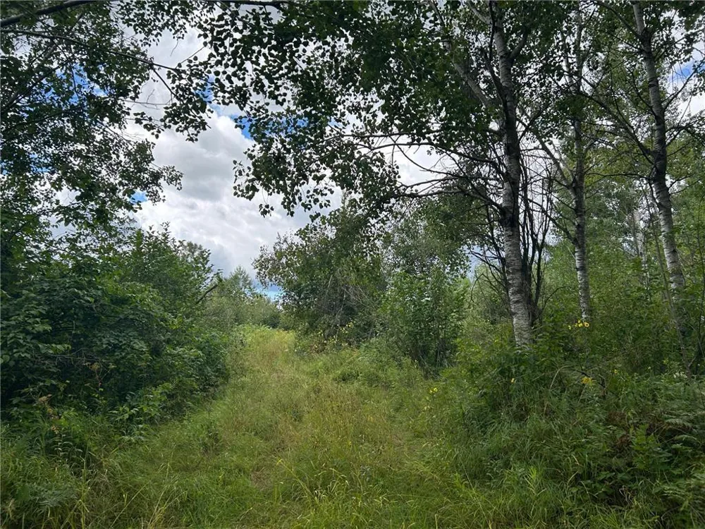 TBD2 Duncan Road Sandstone, MN 55072