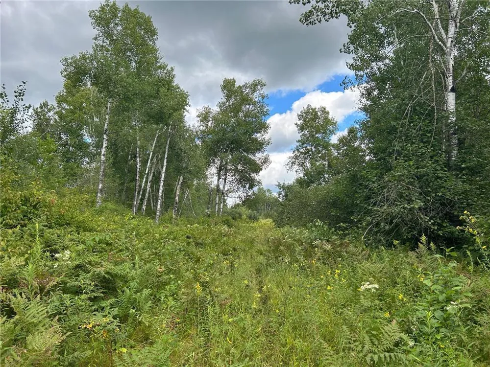 TBD2 Duncan Road Sandstone, MN 55072