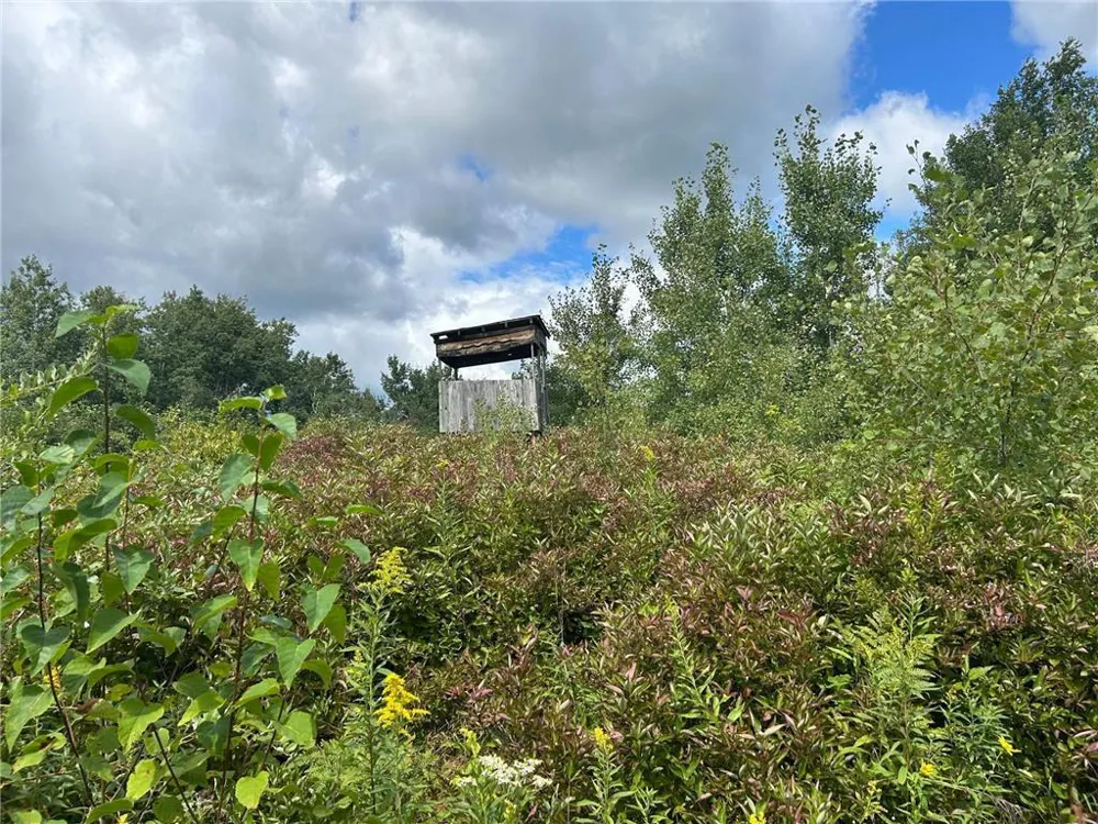TBD2 Duncan Road Sandstone, MN 55072