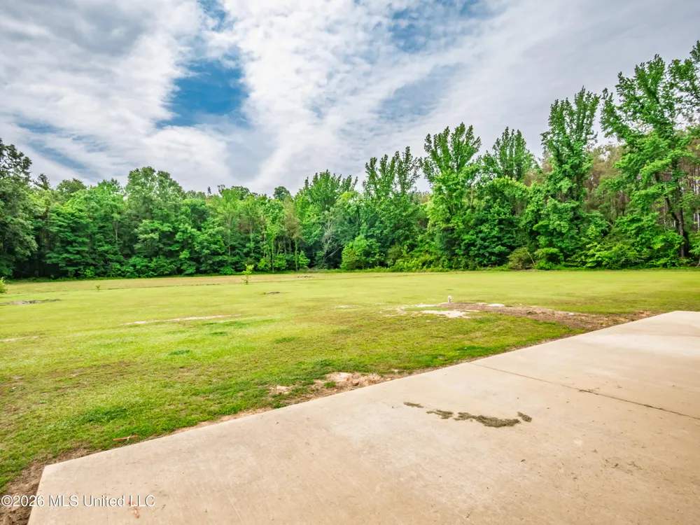 608 County Road 428 Paris, MS 38949