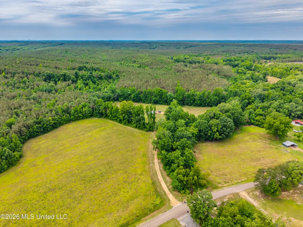 608 County Road 428 Paris, MS 38949
