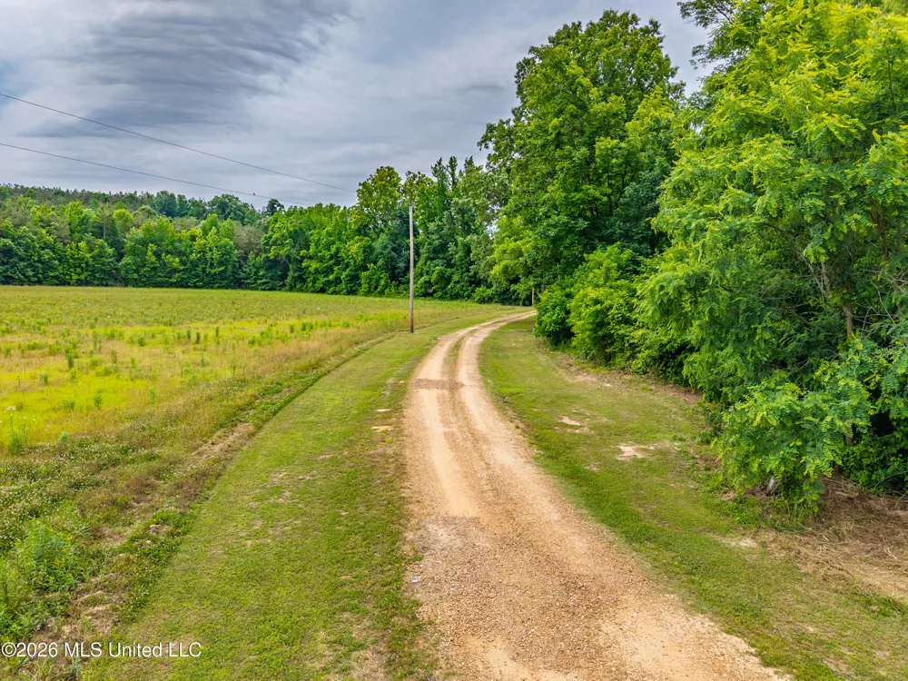 608 County Road 428 Paris, MS 38949