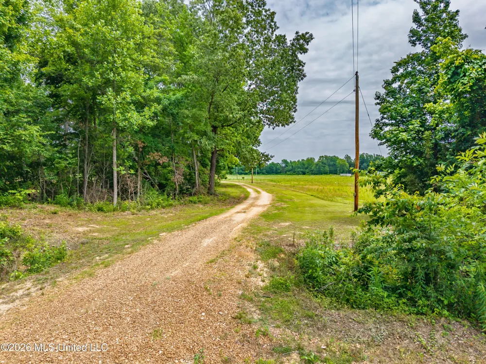 608 County Road 428 Paris, MS 38949