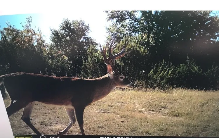4025 County Road 175 Stephenville, TX 76401