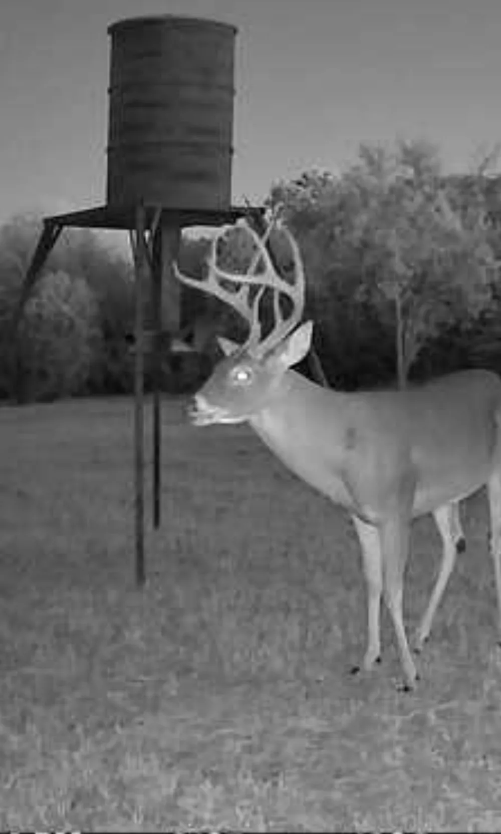 4025 County Road 175 Stephenville, TX 76401