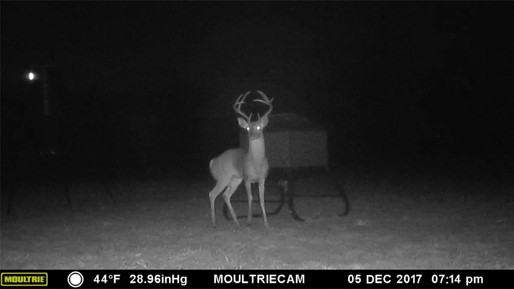 4025 County Road 175 Stephenville, TX 76401