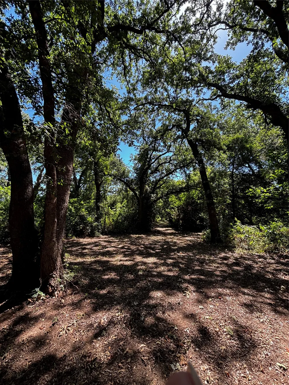 4025 County Road 175 Stephenville, TX 76401