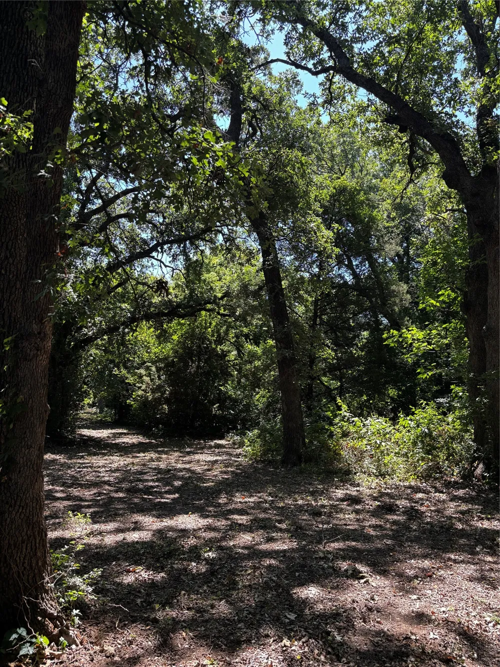 4025 County Road 175 Stephenville, TX 76401
