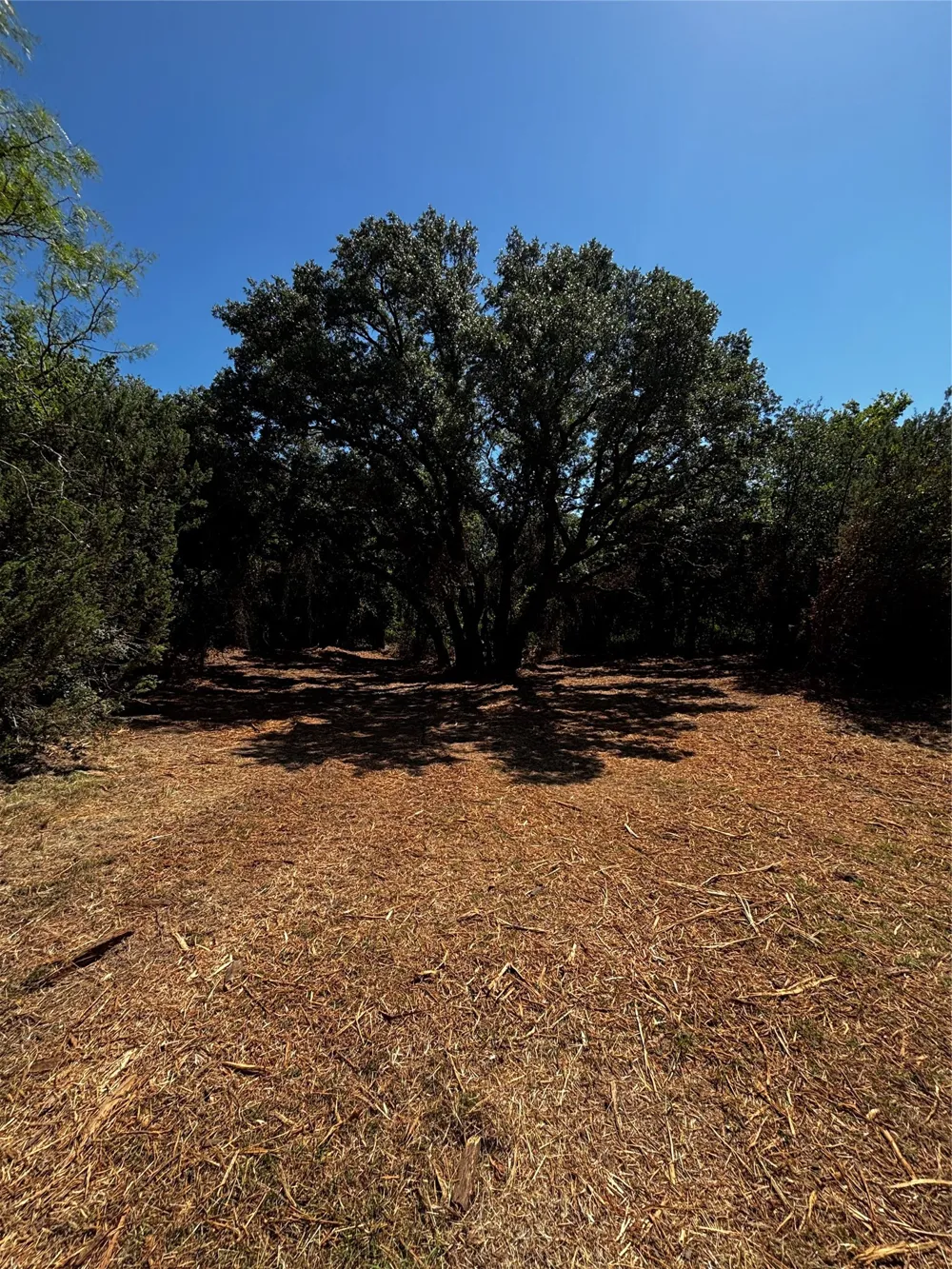 4025 County Road 175 Stephenville, TX 76401