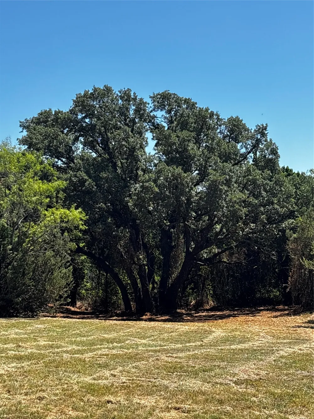 4025 County Road 175 Stephenville, TX 76401