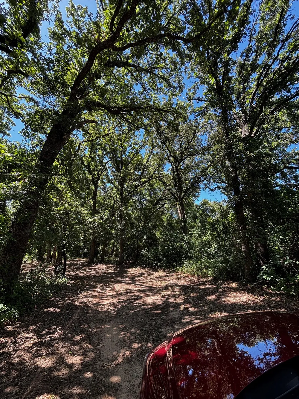4025 County Road 175 Stephenville, TX 76401