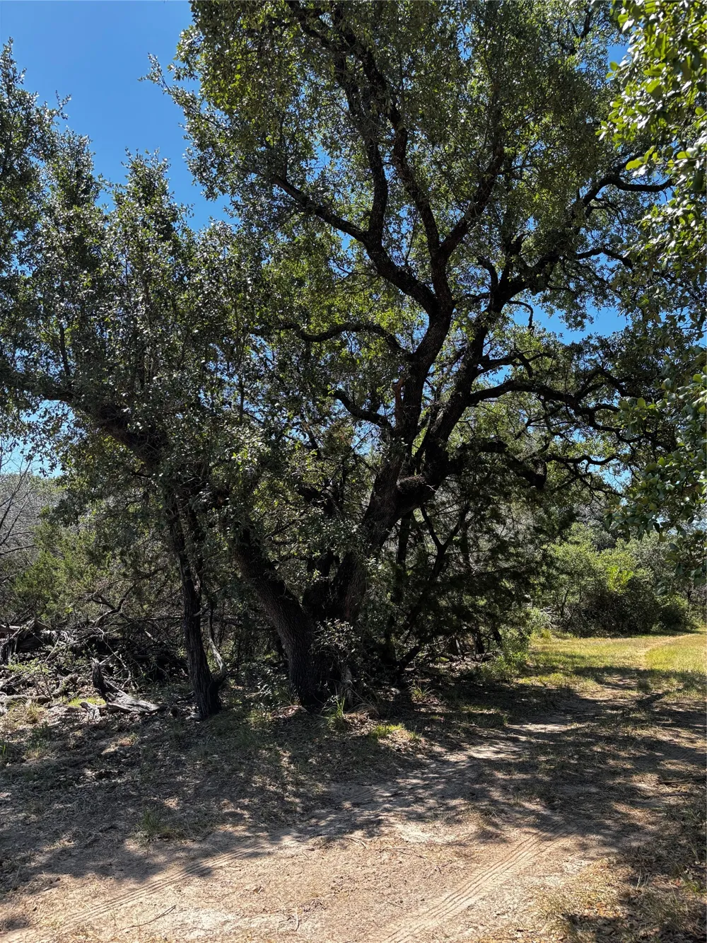 4025 County Road 175 Stephenville, TX 76401