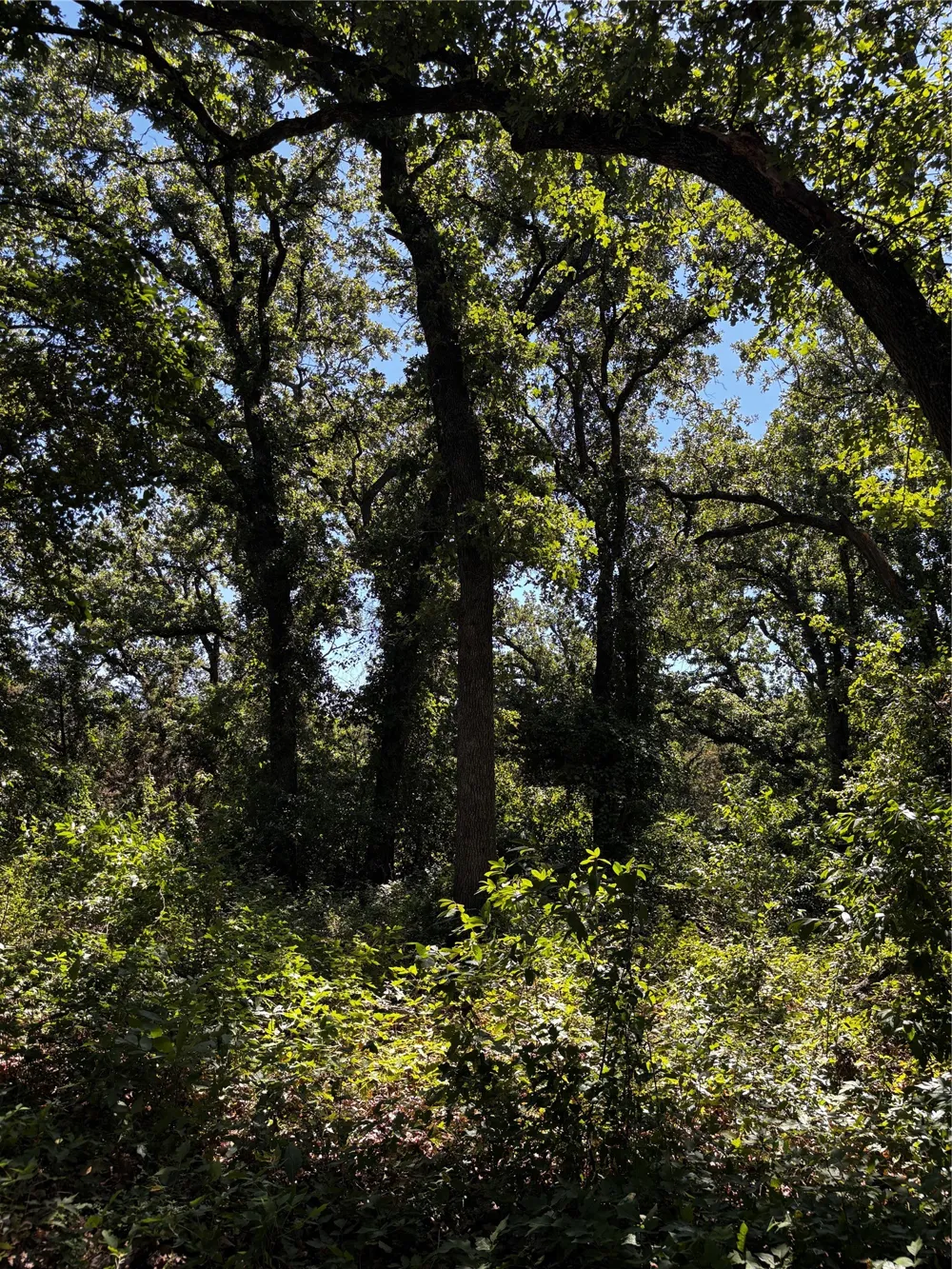 4025 County Road 175 Stephenville, TX 76401