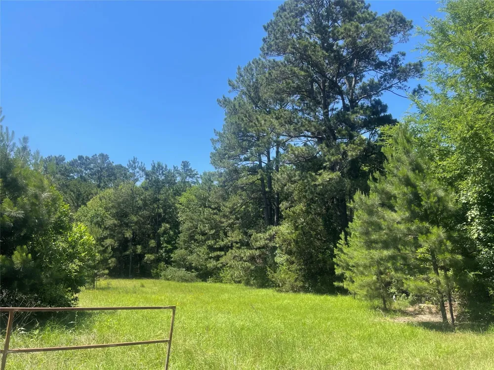 858 Fm 1272 Grapeland, TX 75844