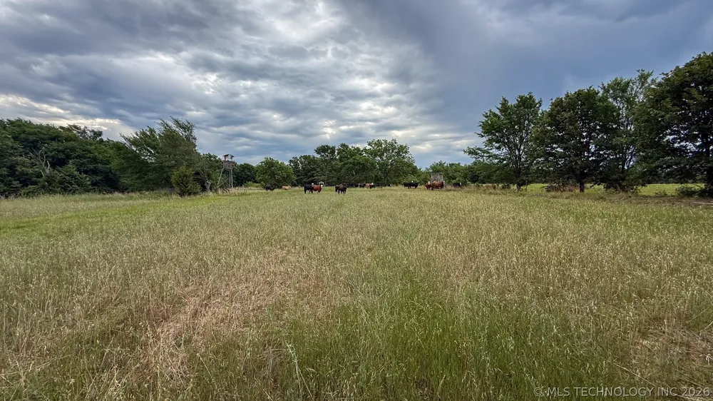 Briar Road Okmulgee, OK 74447