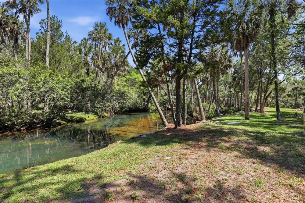 6244 COLONY CIRCLE Weeki Wachee, FL 34607