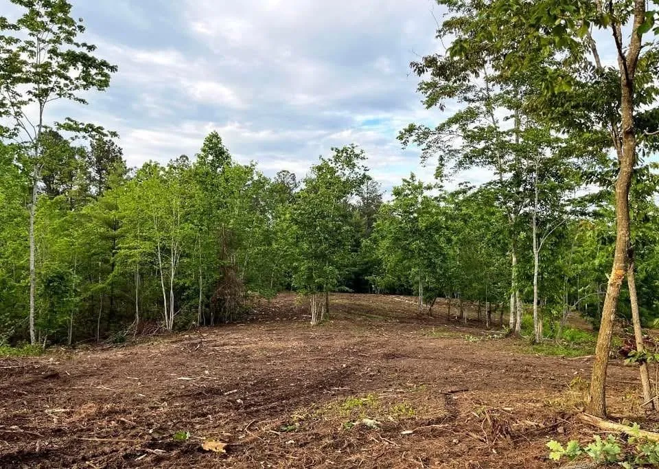 6480 Highway 52 W Dahlonega, GA 30533