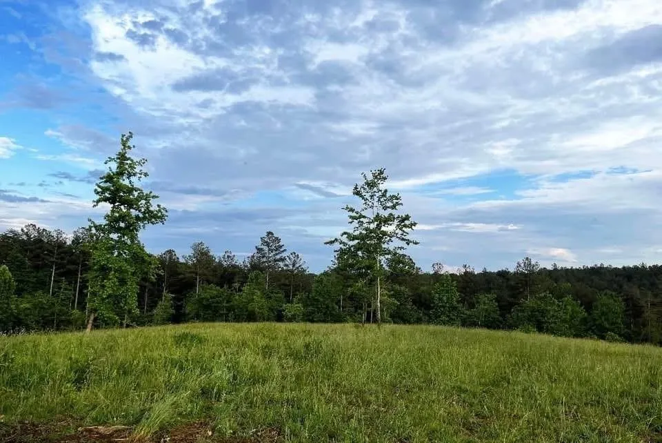 6480 Highway 52 W Dahlonega, GA 30533