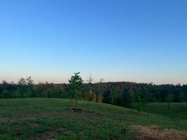 6480 Highway 52 W Dahlonega, GA 30533