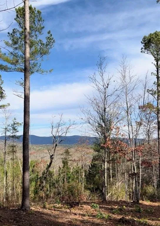 6480 Highway 52 W Dahlonega, GA 30533