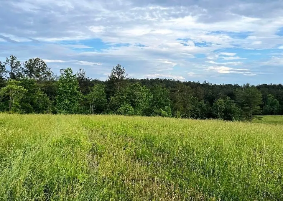 6480 Highway 52 W Dahlonega, GA 30533