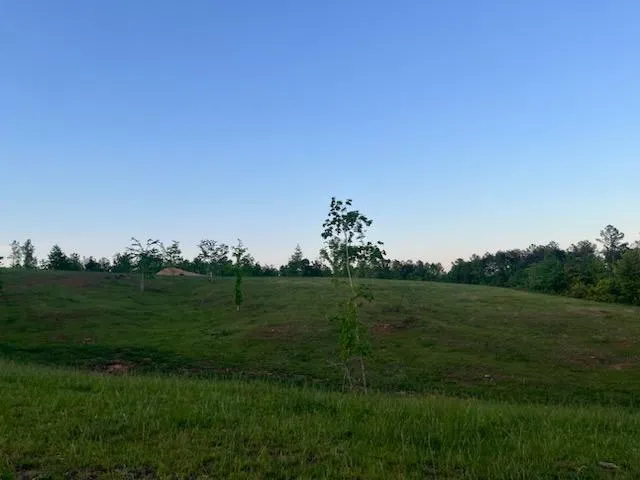 6480 Highway 52 W Dahlonega, GA 30533