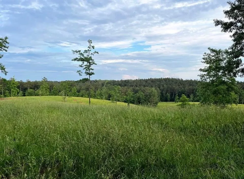 6480 Highway 52 W Dahlonega, GA 30533