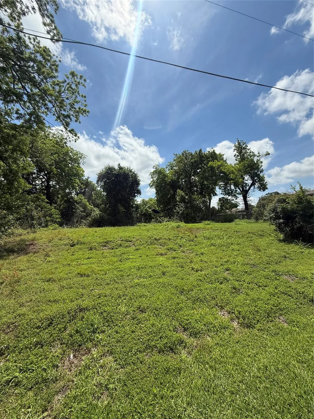 Rosalee La Marque, TX 77568