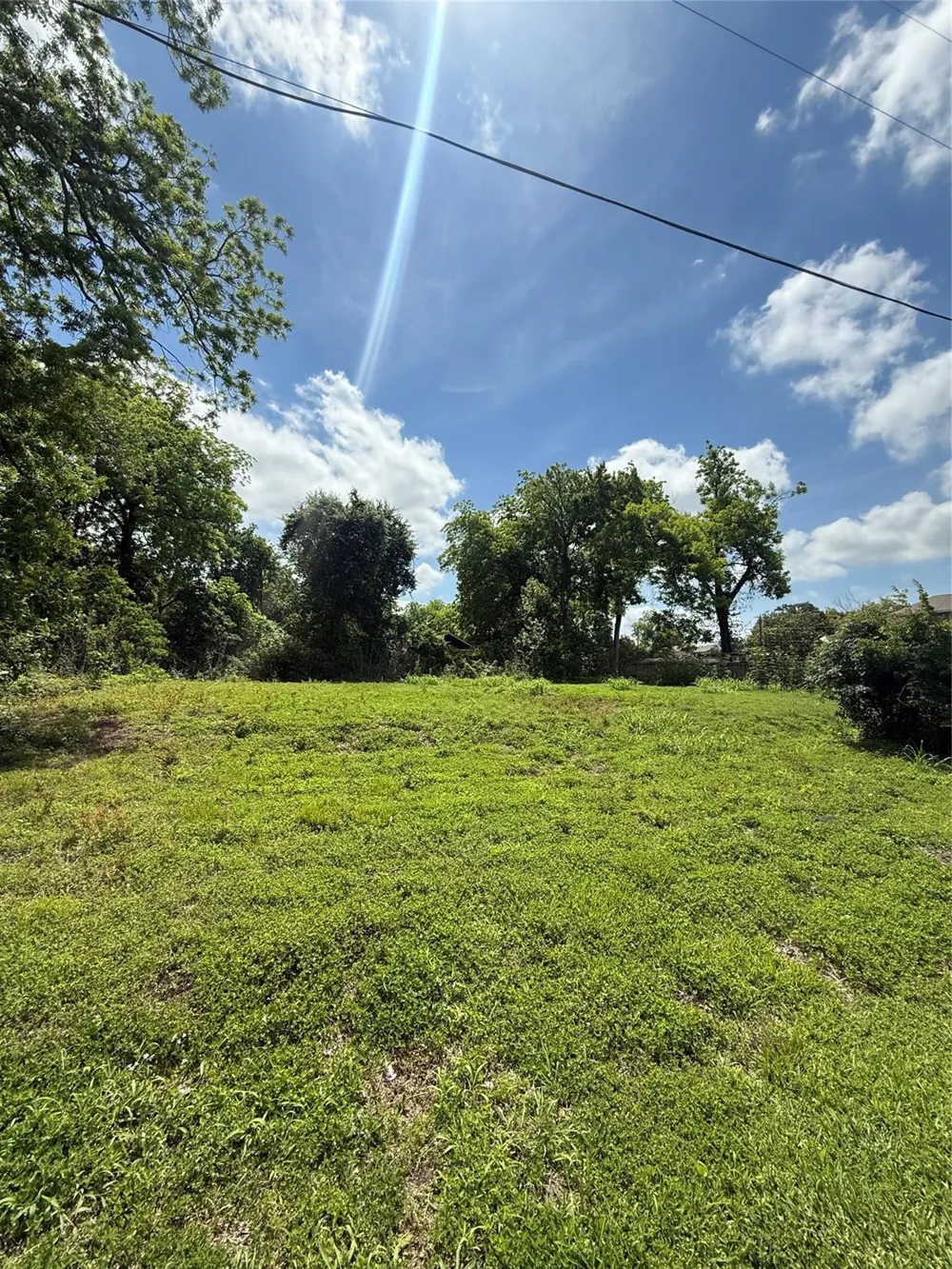 Rosalee La Marque, TX 77568