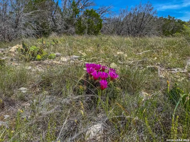 00 S SD 45425 Rocksprings, TX 78880