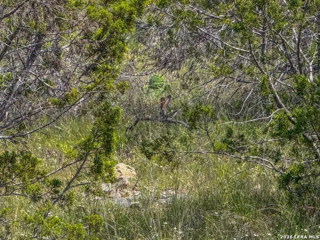 00 S SD 45425 Rocksprings, TX 78880