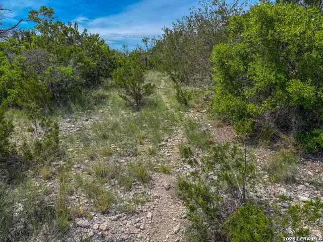 00 S SD 45425 Rocksprings, TX 78880