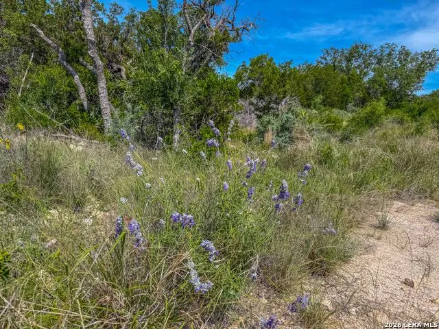 00 S SD 45425 Rocksprings, TX 78880