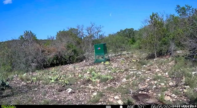 00 S SD 45425 Rocksprings, TX 78880