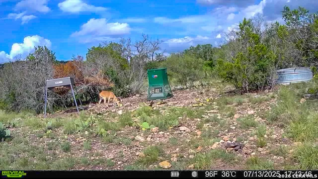 00 S SD 45425 Rocksprings, TX 78880