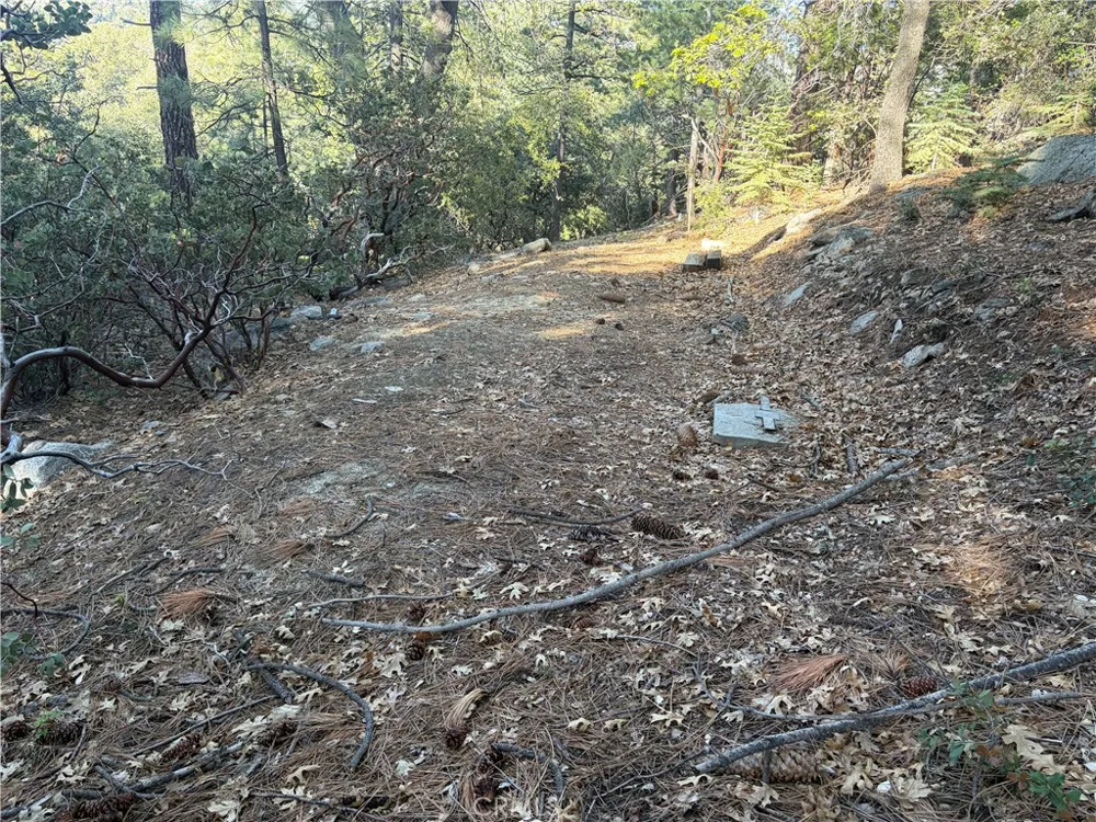 8 Big Rock Drive Idyllwild, CA 92549