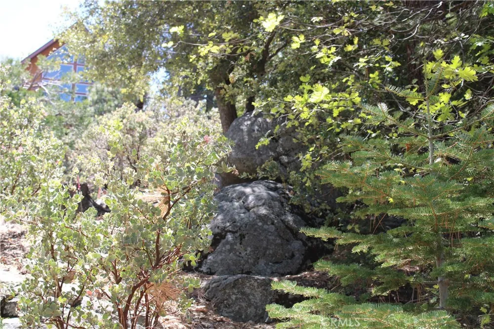 8 Big Rock Drive Idyllwild, CA 92549