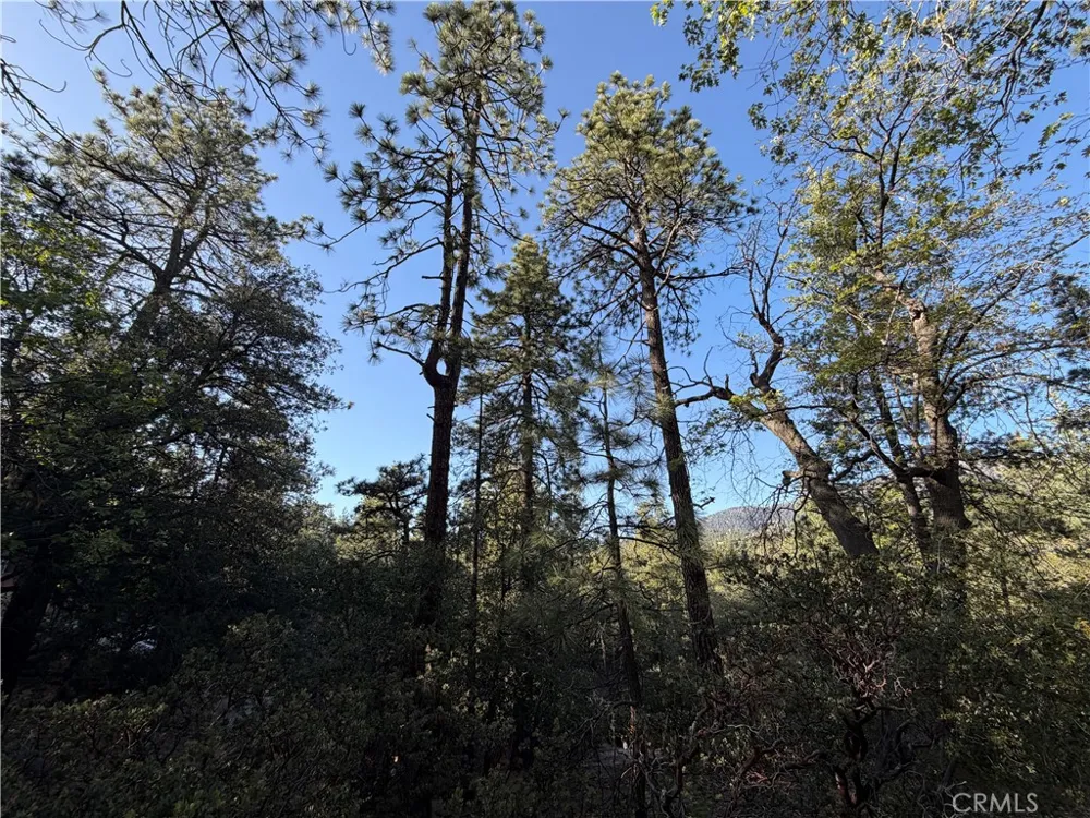 8 Big Rock Drive Idyllwild, CA 92549