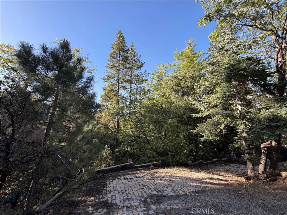 8 Big Rock Drive Idyllwild, CA 92549