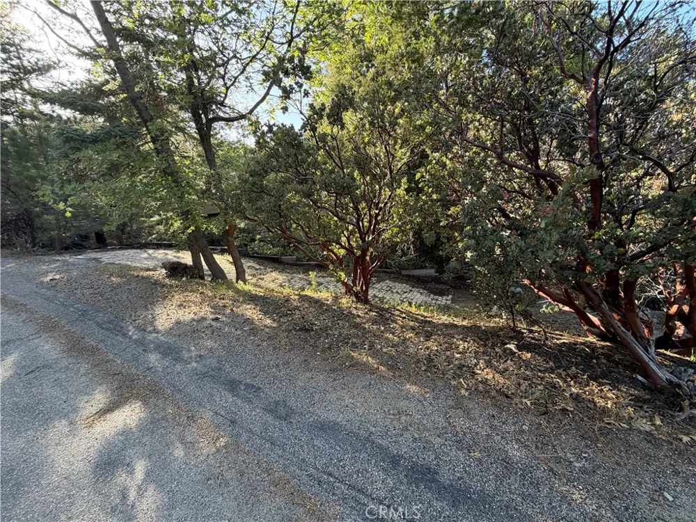 8 Big Rock Drive Idyllwild, CA 92549