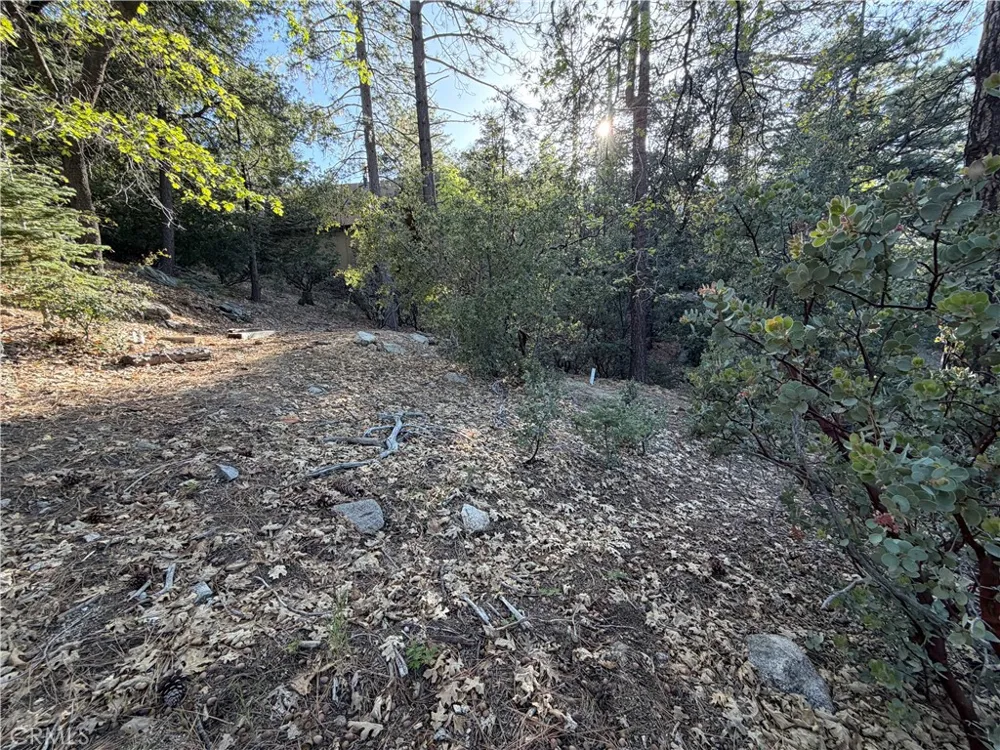 8 Big Rock Drive Idyllwild, CA 92549