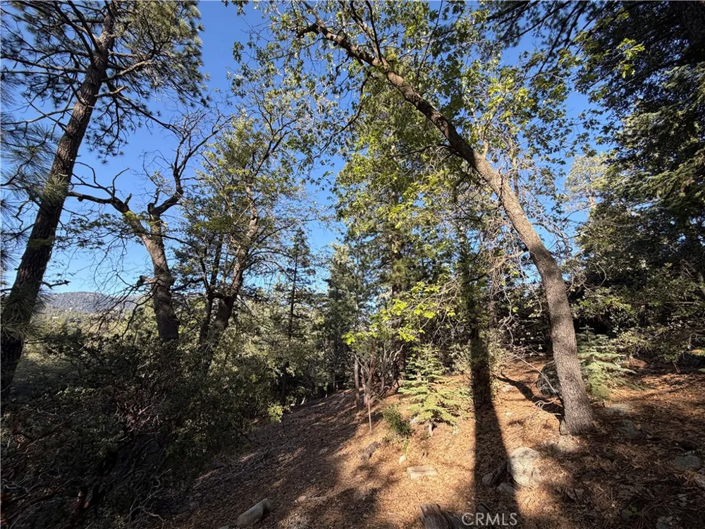 8 Big Rock Drive Idyllwild, CA 92549