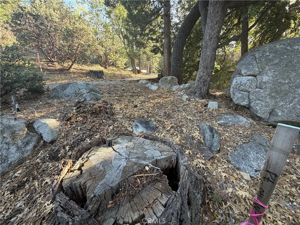 8 Big Rock Drive Idyllwild, CA 92549
