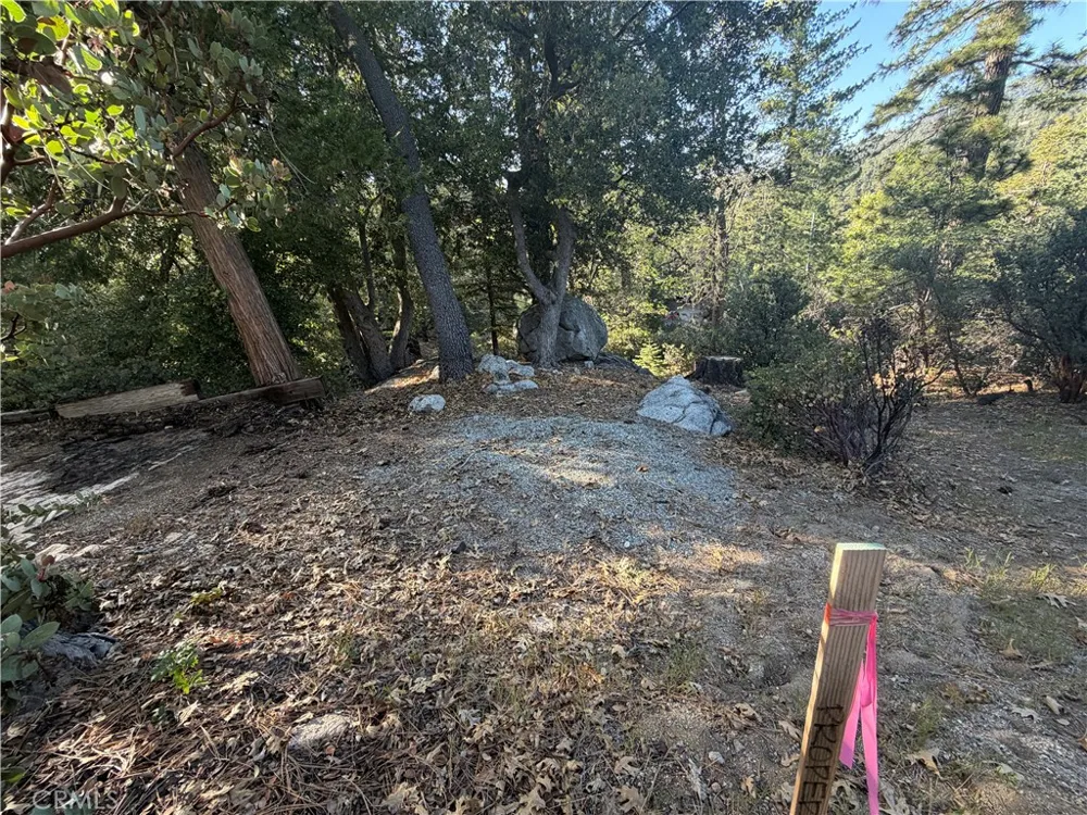 8 Big Rock Drive Idyllwild, CA 92549