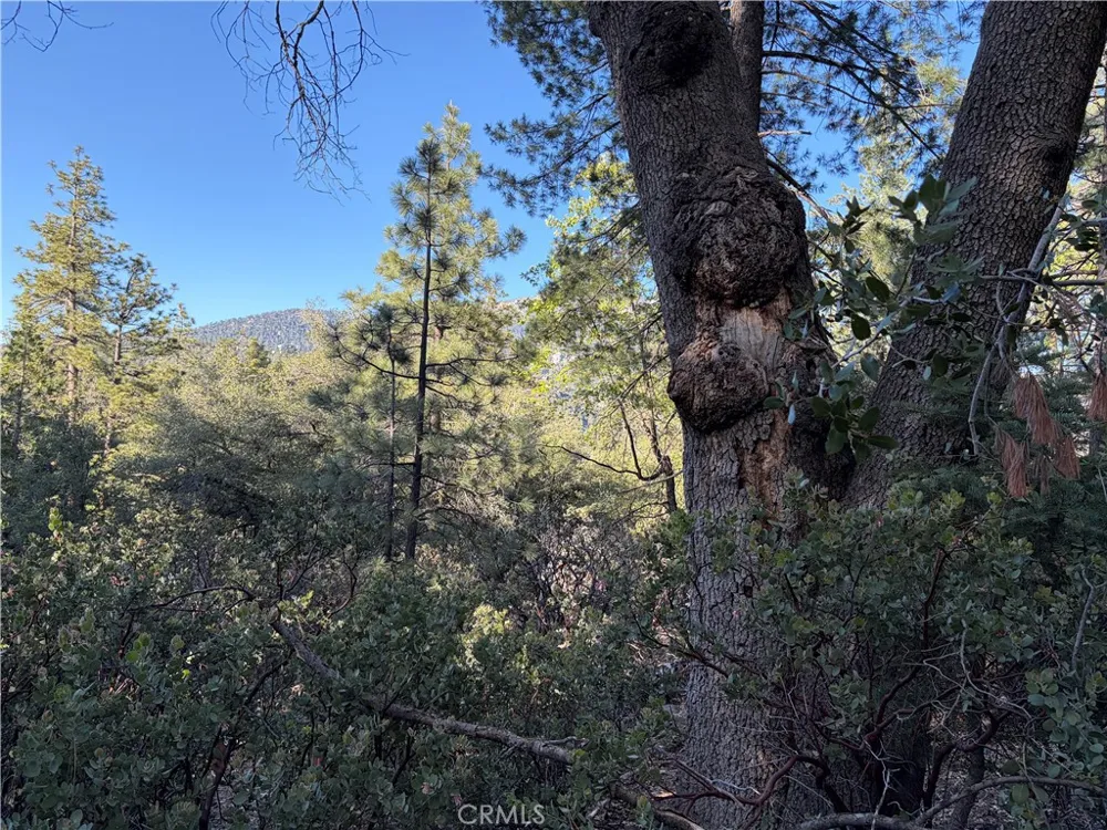 8 Big Rock Drive Idyllwild, CA 92549