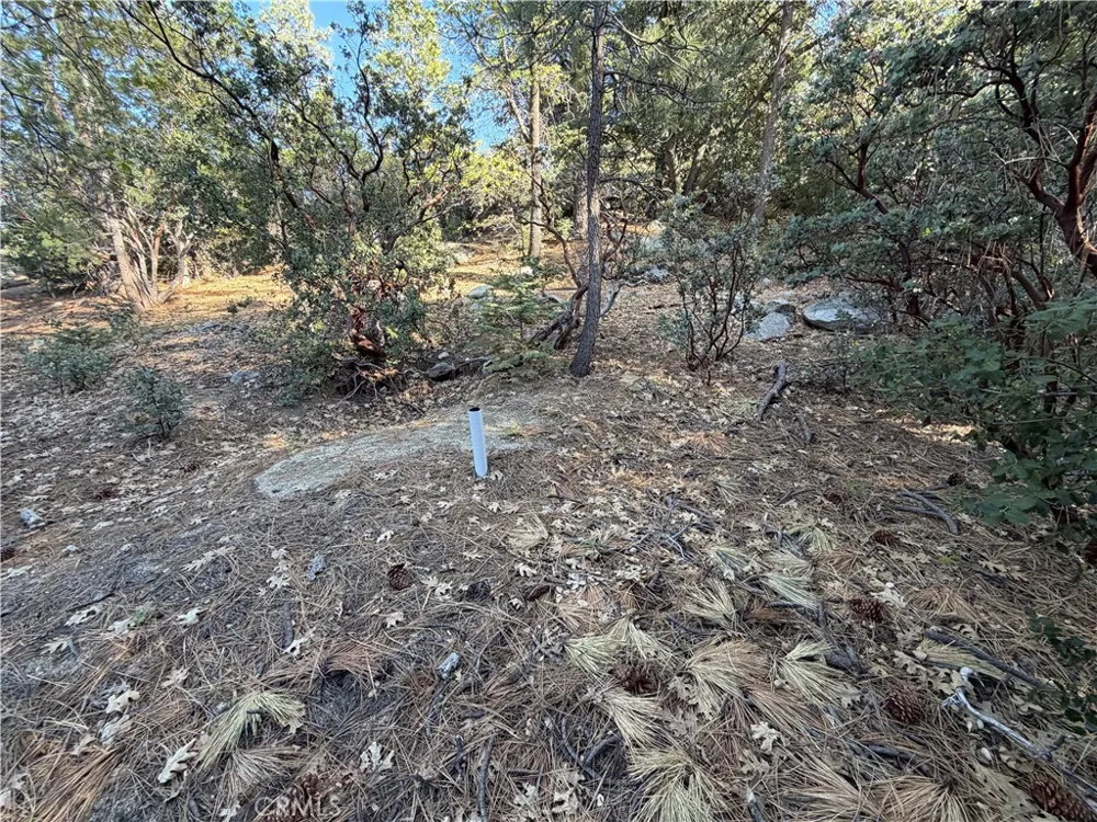 8 Big Rock Drive Idyllwild, CA 92549