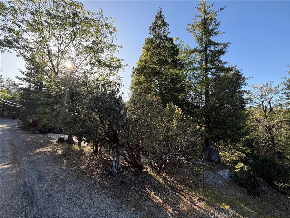 8 Big Rock Drive Idyllwild, CA 92549