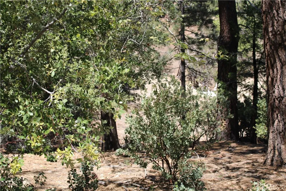 8 Big Rock Drive Idyllwild, CA 92549