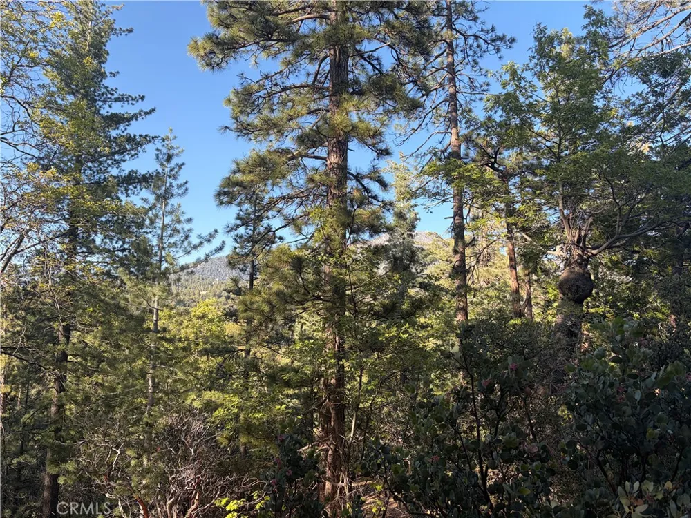 8 Big Rock Drive Idyllwild, CA 92549