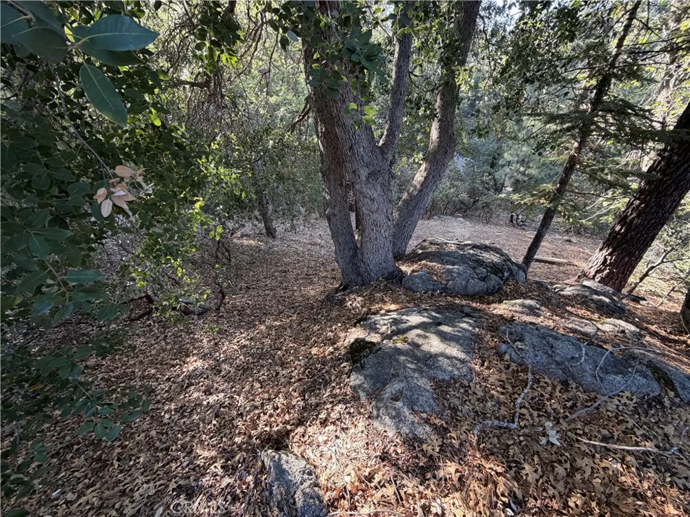 8 Big Rock Drive Idyllwild, CA 92549